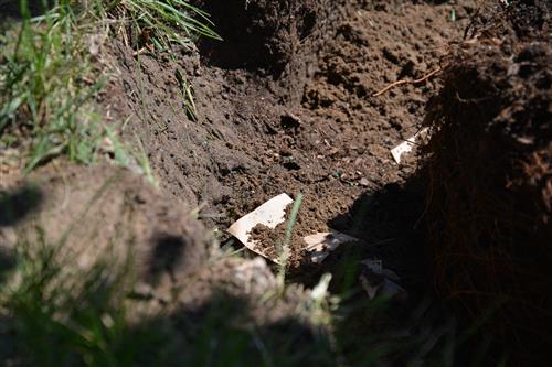 biodegradable paper covered with dirt in a hole